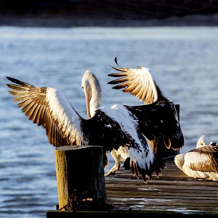 Big4 Manning Point Holiday Park エクステリア 写真